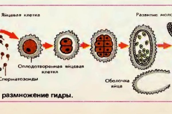 Кракен это даркнет маркетплейс