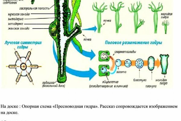 Как найти кракен в торе